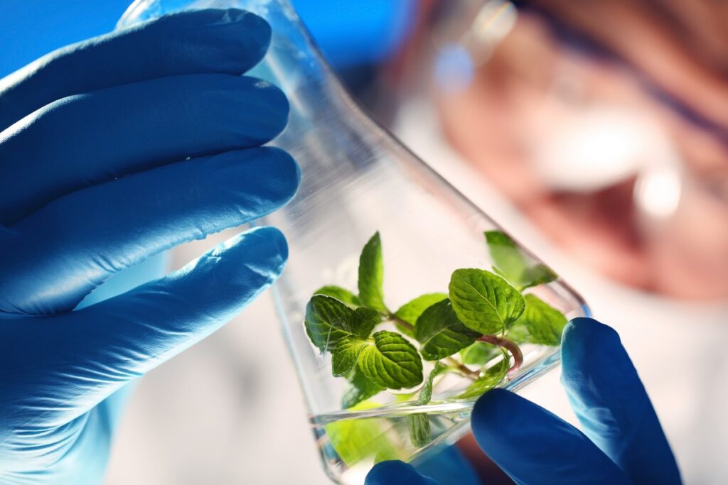 TPA-Steuerberatung-Biotechnologie-Pharmaindustrie