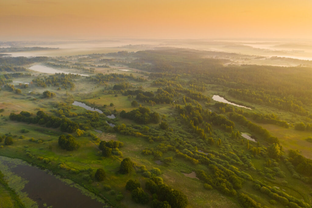 ESRS E4 – Biodiversität und Ökosysteme