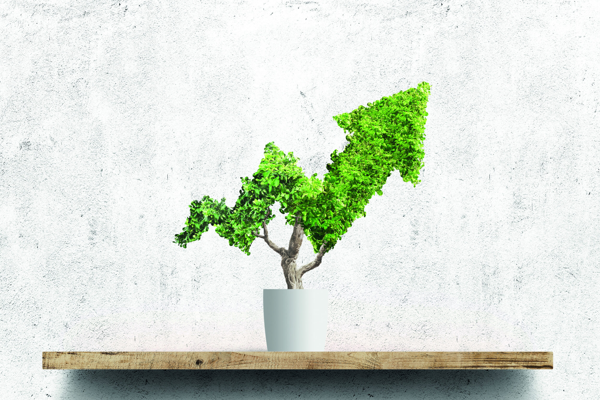 European Sustainability Reporting Standard 1: General requirements