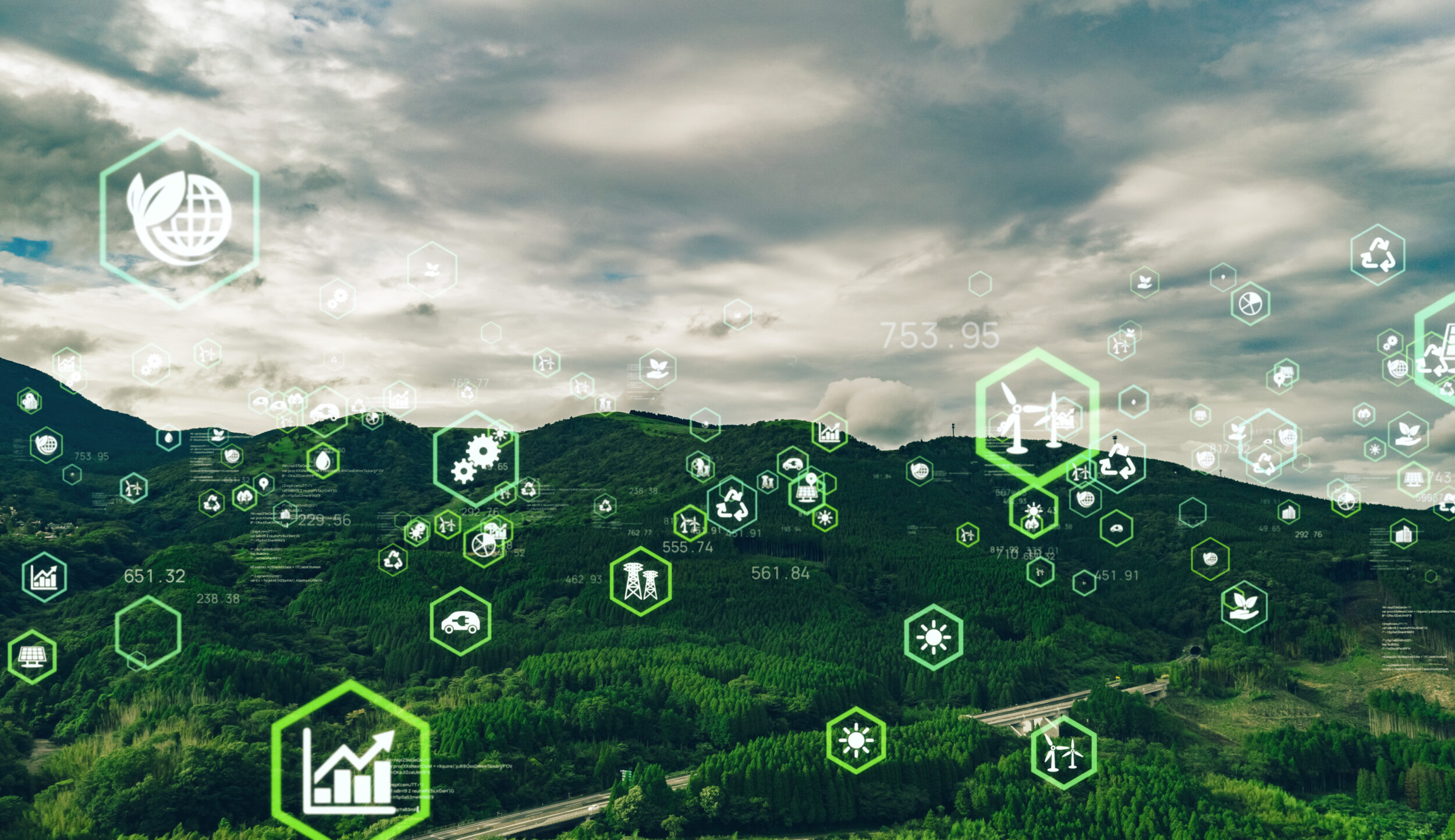 Digital Sustainability