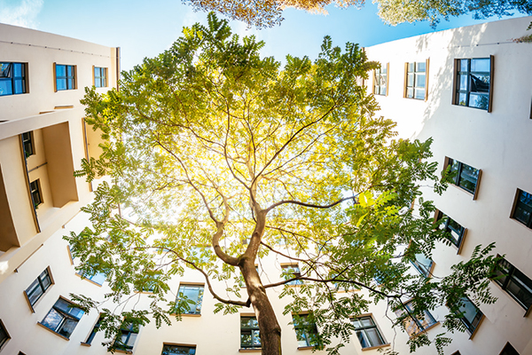 ESG+Immobilien TPA Steuerberatung