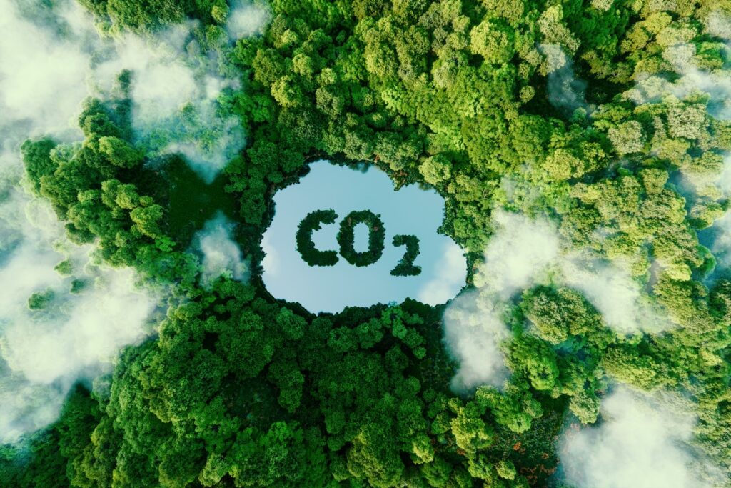 Concept depicting the issue of carbon dioxide emissions and its impact on nature in the form of a pond in the shape of a co2 symbol located in a lush forest. 3d rendering.