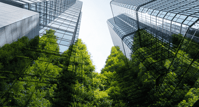 Nachhaltige Transformation der Immobilienbranche