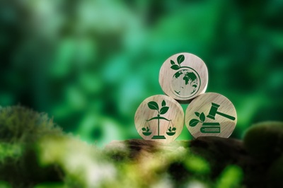 Quick-Fix erleichtert ESRS-Pflichten: Übergangsjahre bringen spürbare Entlastung