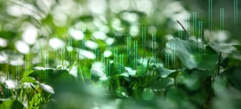 Angepasste Standards für das ESG-Reporting