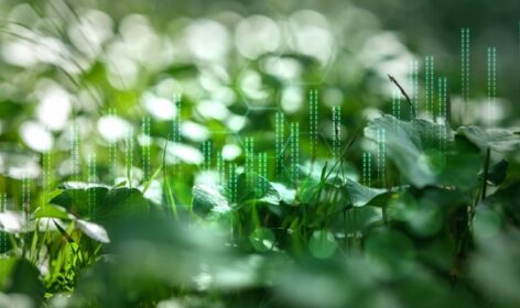 Angepasste Standards für das ESG-Reporting